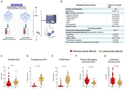 Differential expression of HIV target cells CCR5 and α4β7 in tissue resident memory CD4 T cells in endocervix during the menstrual cycle of HIV seronegative women